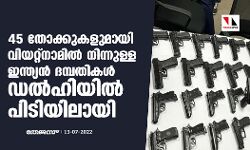 45 തോക്കുകളുമായി വിയറ്റ്‌നാമില്‍ നിന്നുള്ള ഇന്ത്യന്‍ ദമ്പതികള്‍ ഡല്‍ഹിയില്‍ പിടിയിലായി