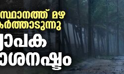 സംസ്ഥാനത്ത് മഴ തകർത്താടുന്നു; വ്യാപക നാശനഷ്ടം സംസ്ഥാനത്ത് മഴ തകർത്താടുന്നു; വ്യാപക നാശനഷ്ടം
