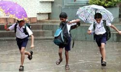 കനത്ത മഴ; വയനാട് ജില്ലയിലെ വിദ്യാഭ്യാസ സ്ഥാപനങ്ങൾക്ക് നാളെ അവധി കനത്ത മഴ; വയനാട് ജില്ലയിലെ വിദ്യാഭ്യാസ സ്ഥാപനങ്ങൾക്ക് നാളെ അവധി