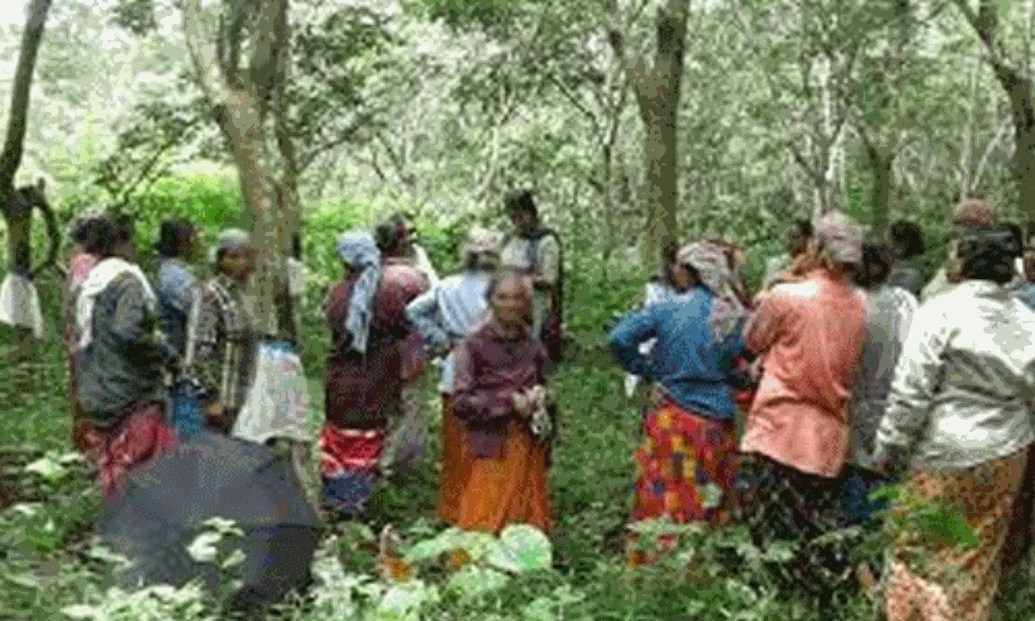 തൊഴിലുറപ്പ് തൊഴിലാളികളെ നിര്ബന്ധിച്ച് സിപിഎം പരിപാടിയില് പങ്കെടുപ്പിച്ചെന്ന് പരാതി തൊഴിലുറപ്പ് തൊഴിലാളികളെ നിര്ബന്ധിച്ച് സിപിഎം പരിപാടിയില് പങ്കെടുപ്പിച്ചെന്ന് പരാതി