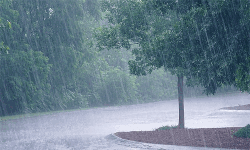 അറബിക്കടലില്‍ ന്യുന മര്‍ദ്ദം, മണ്‍സൂണ്‍ പാത്തിയും സജീവം, കേരളത്തില്‍ 5 ദിവസം വ്യാപകമായ മഴക്ക് സാധ്യത