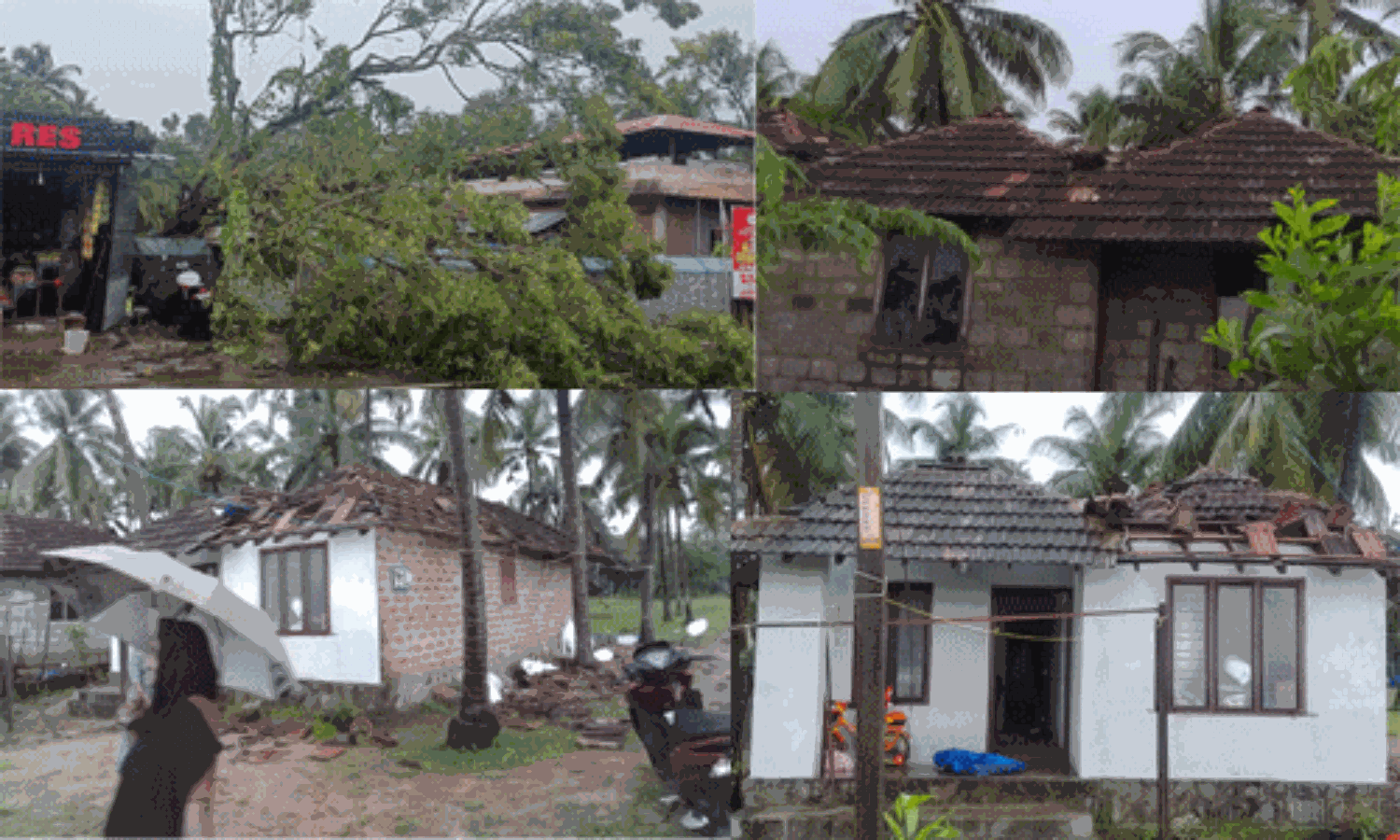 ചാവക്കാട് മിന്നല് ചുഴലി: വ്യാപക നാശനഷ്ടം ചാവക്കാട് മിന്നല് ചുഴലി: വ്യാപക നാശനഷ്ടം