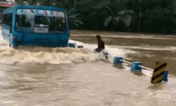 വെള്ളത്തില്‍ മുങ്ങിയ പാലത്തിലൂടെ സാഹസിക യാത്ര; ബസിന് പിഴ ചുമത്തി ട്രാഫിക് പോലിസ്