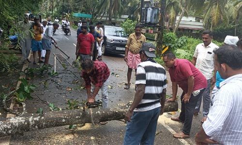 ട്രാന്‍സ്‌ഫോമറില്‍ മരം വീണു; എസ്ഡിപിഐ പ്രവര്‍ത്തകര്‍ മുറിച്ചുമാറ്റി