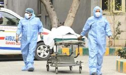 സംസ്ഥാനത്ത് കൊവിഡ് മൂലം അനാഥരായത് 142 കുട്ടികൾ സംസ്ഥാനത്ത് കൊവിഡ് മൂലം അനാഥരായത് 142 കുട്ടികൾ