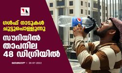 ഗള്‍ഫ് നാടുകള്‍ ചുട്ടുപൊള്ളുന്നു; സൗദിയില്‍ താപനില 48 ഡിഗ്രിയില്‍