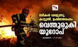 നദികൾ വരളുന്നു, കാട്ടുതീ, ഉഷ്ണതരംഗം; വെന്തുരുകി യൂറോപ് നദികൾ വരളുന്നു, കാട്ടുതീ, ഉഷ്ണതരംഗം; വെന്തുരുകി യൂറോപ്