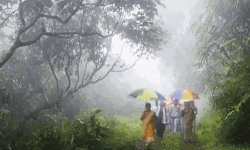 അതിരപ്പിള്ളി-തുമ്പൂര്‍മുഴി മഴയാത്ര നാളെ മുതല്‍