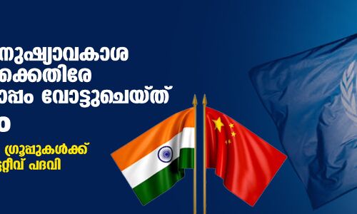 യുഎന്നില്‍ മനുഷ്യാവകാശ സംഘടനകള്‍ക്കെതിരേ ചൈനയ്‌ക്കൊപ്പം വോട്ടുചെയ്ത് ഇന്ത്യയും