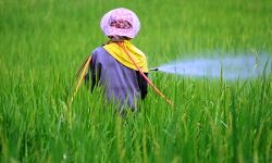 เดธเดเดธเตเดฅเดพเดจเดคเตเดคเต เดฐเดพเดธเดเตเดเดจเดพเดถเดฟเดจเดฟ เดเดชเดฏเตเดเด 644 เดฎเตเดเตเดฐเดฟเดเตเดเตบ เดเตเดฑเดเตเดเต เดธเดเดธเตเดฅเดพเดจเดคเตเดคเต เดฐเดพเดธเดเตเดเดจเดพเดถเดฟเดจเดฟ เดเดชเดฏเตเดเด 644 เดฎเตเดเตเดฐเดฟเดเตเดเตบ เดเตเดฑเดเตเดเต