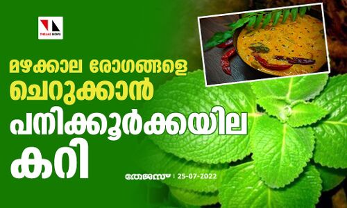മഴക്കാല രോഗങ്ങളെ ചെറുക്കാന്‍ പനിക്കൂര്‍ക്കയില കറി