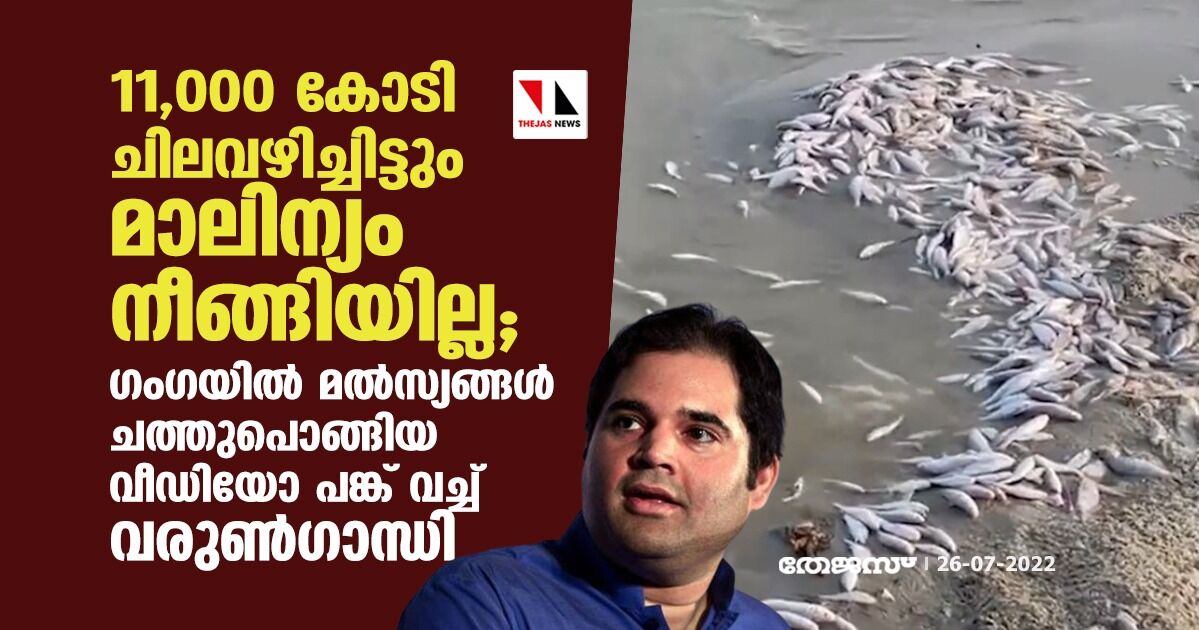 11,000 കോടി ചിലവഴിച്ചിട്ടും മാലിന്യം നീങ്ങിയില്ല;  ഗംഗയില്‍ മല്‍സ്യങ്ങള്‍ ചത്തുപൊങ്ങിയ വീഡിയോ പങ്ക് വച്ച് വരുണ്‍ഗാന്ധി