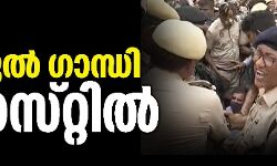 രാഹുല് ഗാന്ധി അറസ്റ്റില് രാഹുല് ഗാന്ധി അറസ്റ്റില്