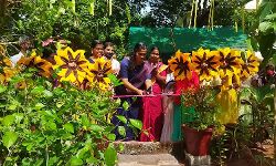 ശലഭോദ്യാനം ഉദ്ഘാടനം ചെയ്തു