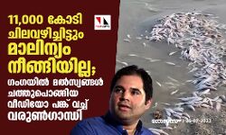 11,000 കോടി ചിലവഴിച്ചിട്ടും മാലിന്യം നീങ്ങിയില്ല;  ഗംഗയില്‍ മല്‍സ്യങ്ങള്‍ ചത്തുപൊങ്ങിയ വീഡിയോ പങ്ക് വച്ച് വരുണ്‍ഗാന്ധി