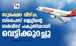 സുരക്ഷാ വീഴ്ച; സ്‌പൈസ് ജെറ്റിന്റെ സര്‍വീസ് പകുതിയായി വെട്ടിക്കുറച്ചു