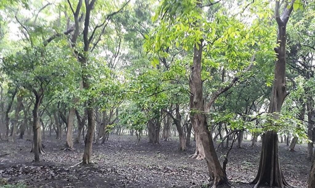 പരിസ്ഥിതി ലോല പ്രദേശം: വനംവകുപ്പ് നടപടികള്ക്ക് സര്ക്കാര് അംഗീകാരം പരിസ്ഥിതി ലോല പ്രദേശം: വനംവകുപ്പ് നടപടികള്ക്ക് സര്ക്കാര് അംഗീകാരം