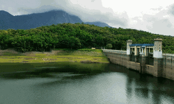 പറമ്പിക്കുളം ഡാമില്‍ ജലനിരപ്പ് ഉയര്‍ന്നു; വെള്ളം തുറന്നുവിട്ടു