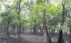 เดชเดฐเดฟเดธเตเดฅเดฟเดคเดฟ เดฒเตเดฒ เดชเตเดฐเดฆเตเดถเด: เดตเดจเดเดตเดเตเดชเตเดชเต เดจเดเดชเดเดฟเดเดณเตโเดเตเดเต เดธเดฐเตโเดเตเดเดพเดฐเตโ เด
เดเดเตเดเดพเดฐเด เดชเดฐเดฟเดธเตเดฅเดฟเดคเดฟ เดฒเตเดฒ เดชเตเดฐเดฆเตเดถเด: เดตเดจเดเดตเดเตเดชเตเดชเต เดจเดเดชเดเดฟเดเดณเตโเดเตเดเต เดธเดฐเตโเดเตเดเดพเดฐเตโ เด
เดเดเตเดเดพเดฐเด