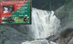 കൊല്ലം കുംഭാവുരുട്ടിയില്‍ മലവെള്ളപ്പാച്ചില്‍; ഒരാള്‍ മരിച്ചു