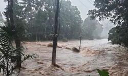 കോട്ടയം ജില്ലയില്‍ കനത്ത മഴ തുടരുന്നു, പലയിടത്തും ഉരുള്‍പൊട്ടല്‍; മലയോരമേഖലയില്‍ രാത്രിയാത്രയ്ക്ക് നിരോധനം