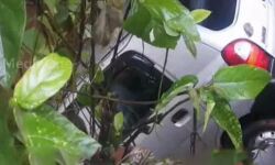 เดเดพเดฐเตโ เดเดฑเตเดฑเดฟเดฒเตเดเตเดเต เดฎเดฑเดฟเดเตเดเต เดตเตเดจเตเดจเดฟเดเตเดเตเดณเดคเตเดคเต เดฎเตเดจเตเดจเต เดชเตเดฐเตโ เดฎเดฐเดฟเดเตเดเต เดเดพเดฐเตโ เดเดฑเตเดฑเดฟเดฒเตเดเตเดเต เดฎเดฑเดฟเดเตเดเต เดตเตเดจเตเดจเดฟเดเตเดเตเดณเดคเตเดคเต เดฎเตเดจเตเดจเต เดชเตเดฐเตโ เดฎเดฐเดฟเดเตเดเต