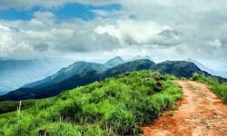 เดเดฒเดตเตเดดเดพเดชเตเดชเตเดเตเดเดฟเดฑ เดเดฐเตเดณเตโเดตเตเดดเตเด เดชเตเดเตเดเดฟเดฑเดฏเดพเดเตเดเดฏเดพเดฃเต? เดเดฒเดตเตเดดเดพเดชเตเดชเตเดเตเดเดฟเดฑ เดเดฐเตเดณเตโเดตเตเดดเตเด เดชเตเดเตเดเดฟเดฑเดฏเดพเดเตเดเดฏเดพเดฃเต?