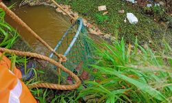 ഒഴുക്കില്‍ പെട്ട സ്ത്രീയെ അഗ്നിശമന സേന രക്ഷപെടുത്തി