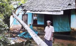 തെങ്ങ് വീണ് വീട് ഭാഗികമായി തകര്‍ന്നു