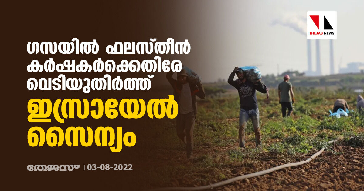 ഗസയില്‍ ഫലസ്തീന്‍ കര്‍ഷകര്‍ക്കെതിരേ   വെടിയുതിര്‍ത്ത് ഇസ്രായേല്‍ സൈന്യം