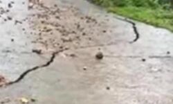 അതിതീവ്ര മഴ: പൊതുമരാമത്ത് വകുപ്പിന് ഉണ്ടായത് 300 കോടിയുടെ നഷ്ടം