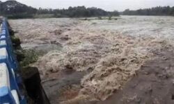 ആളിയാര്‍ ഡാം തുറന്നു; ചിറ്റൂര്‍പുഴയില്‍ ജാഗ്രതാ നിര്‍ദേശം