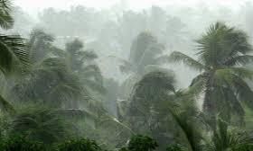 മഴക്കെടുതി: എറണാകളം ജില്ലയില് 18 കോടിയുടെ കൃഷി നാശം മഴക്കെടുതി: എറണാകളം ജില്ലയില് 18 കോടിയുടെ കൃഷി നാശം