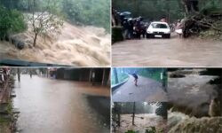 เด
เดคเดฟเดถเดเตเดค เดฎเดด เดคเตเดเดฐเตเดจเตเดจเต; เดตเดฏเดจเดพเดเตเดเดฟเตฝ เดตเดจเดชเดพเดคเดฏเดฟเตฝ เดเตเดเตเดเตเดเดฟเดฏ 500 เดเดณเด เดชเตเดฐเต เดฐเดเตเดทเดชเตเดชเตเดเตเดคเตเดคเดฟ เด
เดคเดฟเดถเดเตเดค เดฎเดด เดคเตเดเดฐเตเดจเตเดจเต; เดตเดฏเดจเดพเดเตเดเดฟเตฝ เดตเดจเดชเดพเดคเดฏเดฟเตฝ เดเตเดเตเดเตเดเดฟเดฏ 500 เดเดณเด เดชเตเดฐเต เดฐเดเตเดทเดชเตเดชเตเดเตเดคเตเดคเดฟ