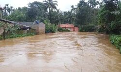 ചാലക്കുടി പുഴയിലെ ഒഴുക്ക് ഗൗരവതരം, 33 ക്യാംപുകള്; 5000 പേരെ മാറ്റിപാര്പ്പിച്ചു ചാലക്കുടി പുഴയിലെ ഒഴുക്ക് ഗൗരവതരം, 33 ക്യാംപുകള്; 5000 പേരെ മാറ്റിപാര്പ്പിച്ചു