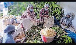 സപ്‌ളൈക്കോയുടെ ഓണക്കിറ്റില്‍ കുടുംബശ്രീയുടെ ശര്‍ക്കരവരട്ടിയും ചിപ്‌സും; ലഭിച്ചത് 12.89 കോടിയുടെ ഓര്‍ഡര്‍