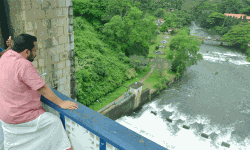 പീച്ചി ഡാം ഷട്ടറുകള്‍ അഞ്ച് സെന്റീമീറ്റര്‍ കൂടി ഉയര്‍ത്തി; ആശങ്ക വേണ്ടെന്ന് മന്ത്രി രാജന്‍