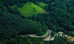 കനത്ത മഴ; വയനാട്ടില്‍ വിനോദസഞ്ചാരത്തിന് നിരോധനം