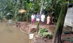 അന്നമനടയില്‍ തീരം ഇടിയുന്നു; വീടുകള്‍ക്ക് ഭീഷണി