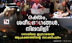 രക്തം, ശരീരഭാഗങ്ങള്‍, നിലവിളി: ഗസയിലെ ഇസ്രായേല്‍ ആക്രമണത്തിന്റെ ബാക്കിപത്രം