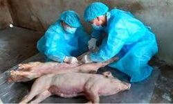 เดเดซเตเดฐเดฟเดเตเดเดจเตโ เดชเดจเตเดจเดฟเดชเตเดชเดจเดฟ; เดเดฐเตโเดทเดเดฐเตโเดเตเดเตเดณเดณ เดจเดทเตเดเดชเดฐเดฟเดนเดพเดฐเด 11เดจเต เดจเดฒเตโเดเตเด เดเดซเตเดฐเดฟเดเตเดเดจเตโ เดชเดจเตเดจเดฟเดชเตเดชเดจเดฟ; เดเดฐเตโเดทเดเดฐเตโเดเตเดเตเดณเดณ เดจเดทเตเดเดชเดฐเดฟเดนเดพเดฐเด 11เดจเต เดจเดฒเตโเดเตเด