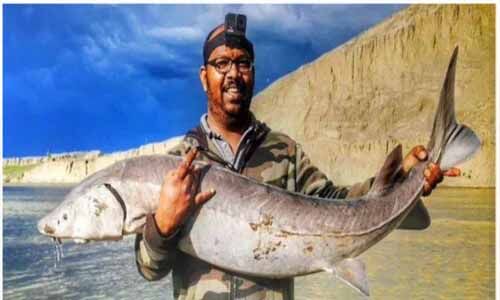 കാനഡയില് മലയാളി ഫിഷിങ് വ്ളോഗര് മുങ്ങി മരിച്ചു കാനഡയില് മലയാളി ഫിഷിങ് വ്ളോഗര് മുങ്ങി മരിച്ചു