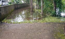 เดฎเดพเดณ เดชเตเดฐเดฆเตเดถเดคเตเดคเต เดเดจเด เดตเตเดฃเตเดเตเด เดชเตเดฐเดณเดฏเดญเตเดคเดฟเดฏเดฟเดฒเตโ เดฎเดพเดณ เดชเตเดฐเดฆเตเดถเดคเตเดคเต เดเดจเด เดตเตเดฃเตเดเตเด เดชเตเดฐเดณเดฏเดญเตเดคเดฟเดฏเดฟเดฒเตโ