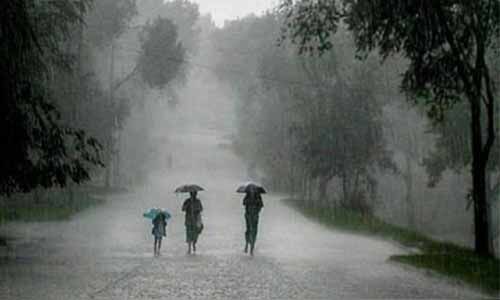 കോഴിക്കോട് വിലങ്ങാട് മേഖലയില്‍ ശക്തമായ ചുഴലിക്കാറ്റ്;വ്യാപക നാശനഷ്ടം