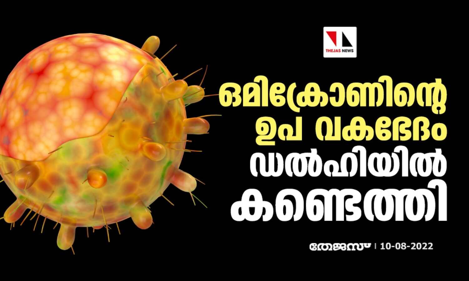 ഒമിക്രോണിന്റെ ഉപ വകഭേദം ഡല്ഹിയില് കണ്ടെത്തി ഒമിക്രോണിന്റെ ഉപ വകഭേദം ഡല്ഹിയില് കണ്ടെത്തി
