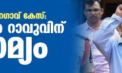 ഭീമ കൊറേഗാവ് കേസ്: വരവര റാവുവിന് ജാമ്യം