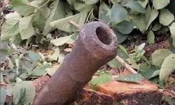 തളിപ്പറമ്പില്‍ സ്വകാര്യവ്യക്തിയുടെ പറമ്പില്‍ നിന്നും പീരങ്കി കണ്ടെത്തി