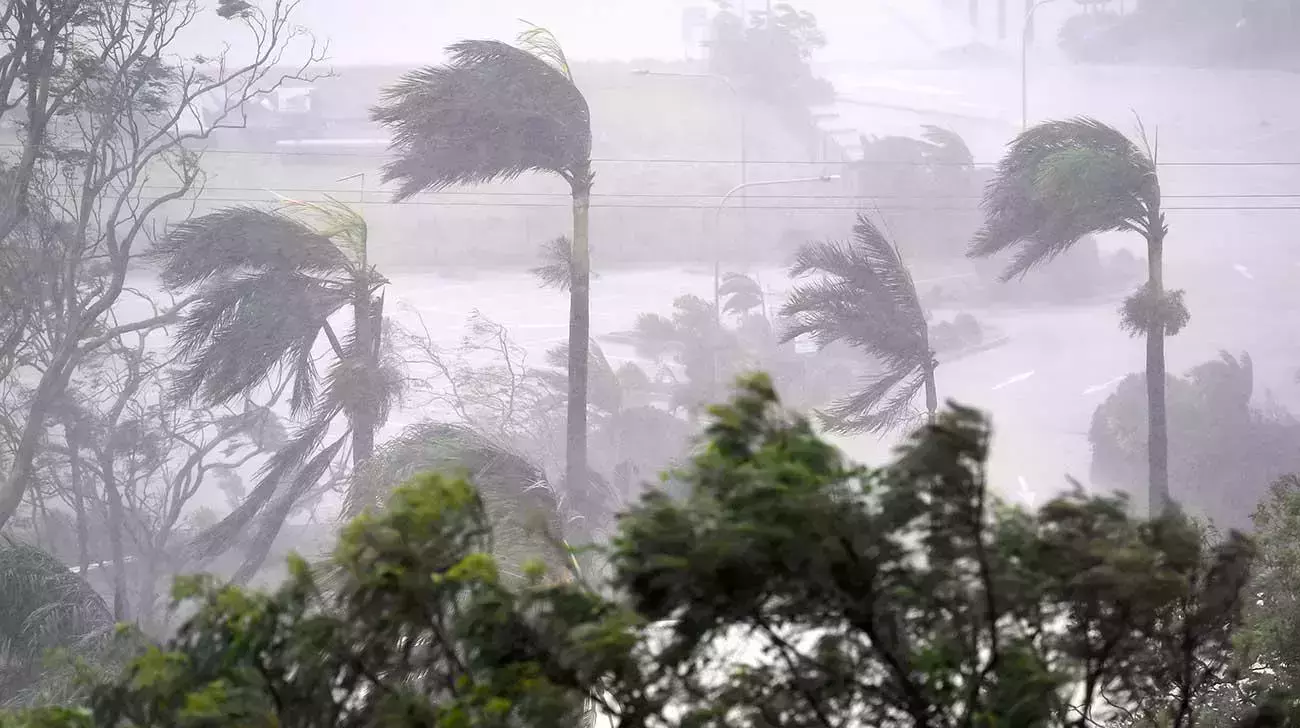 അന്നമനടയില് മിന്നല് ചുഴലി; കൃഷിനാശം അന്നമനടയില് മിന്നല് ചുഴലി; കൃഷിനാശം
