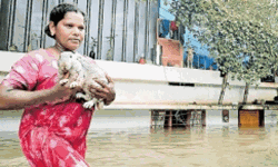 കോഴിക്കോട് ജില്ലയില്‍ ഒരു ദുരിതാശ്വാസ ക്യാംപ്