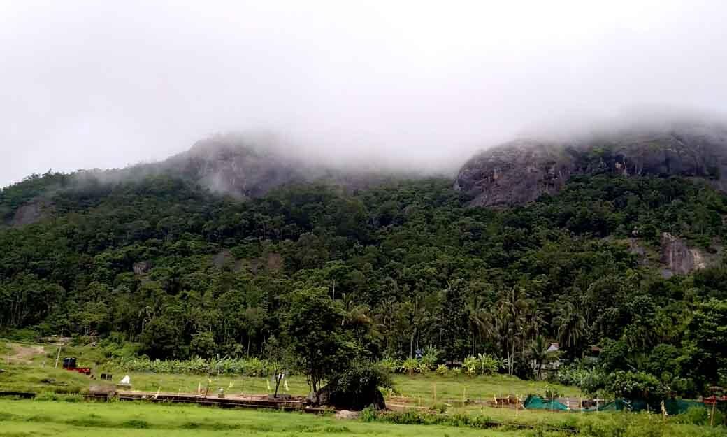 ബഫര്സോണ്- ജനവാസമേഖലക്ക് കൃത്യമായ നിര്വചനം നല്കണമെന്ന് കെസിബിസി ബഫര്സോണ്- ജനവാസമേഖലക്ക് കൃത്യമായ നിര്വചനം നല്കണമെന്ന് കെസിബിസി